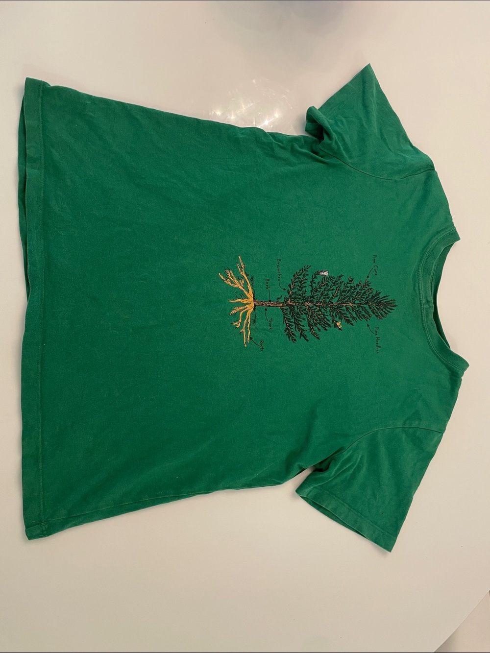 Hannah Anderson Boys Tree Graphic Tee